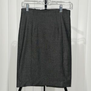 Express Pencil Skirt